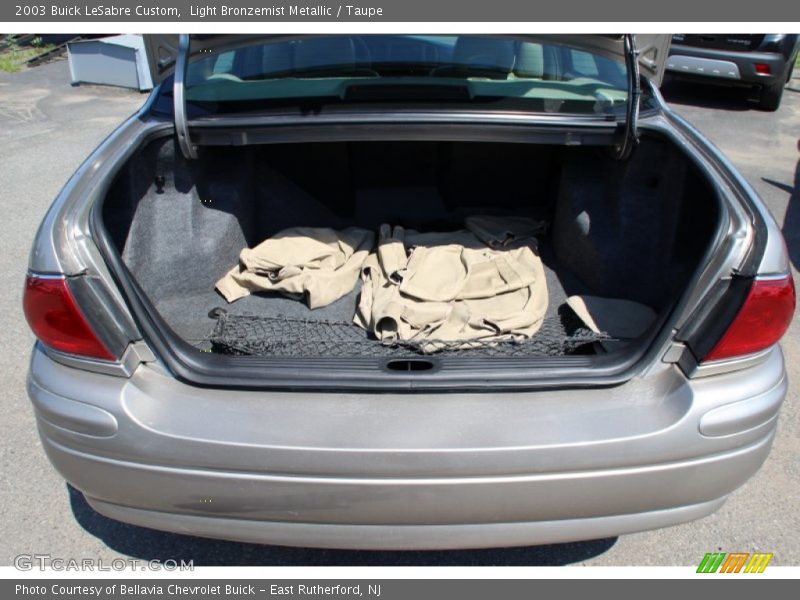 Light Bronzemist Metallic / Taupe 2003 Buick LeSabre Custom