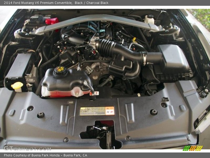 Black / Charcoal Black 2014 Ford Mustang V6 Premium Convertible