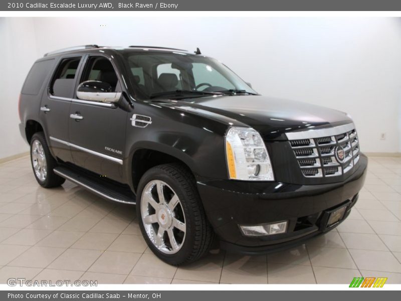 Black Raven / Ebony 2010 Cadillac Escalade Luxury AWD