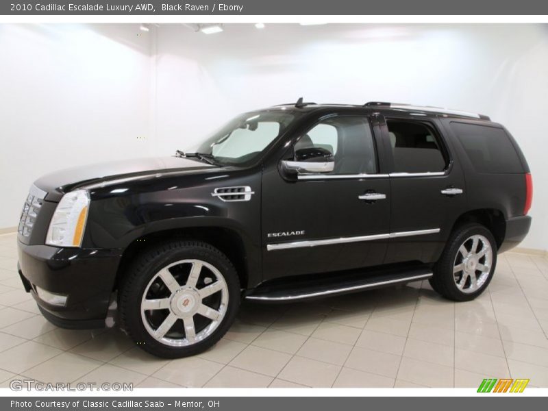 Black Raven / Ebony 2010 Cadillac Escalade Luxury AWD