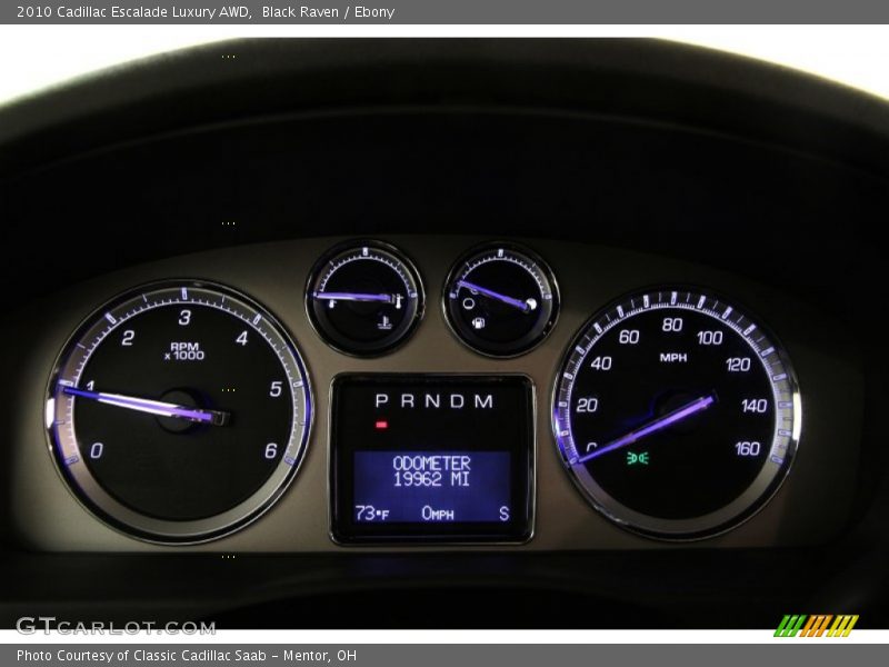 Black Raven / Ebony 2010 Cadillac Escalade Luxury AWD