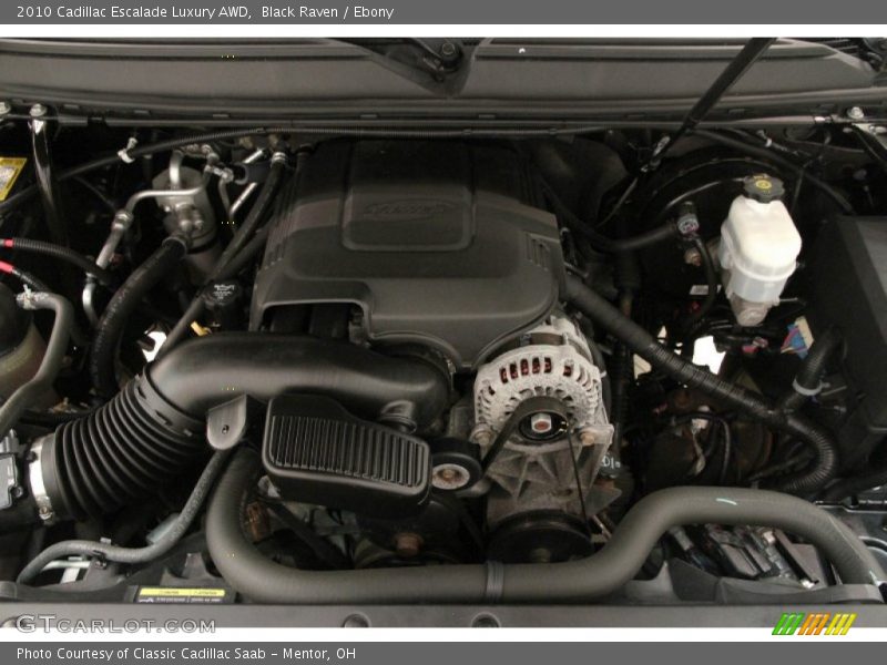 Black Raven / Ebony 2010 Cadillac Escalade Luxury AWD