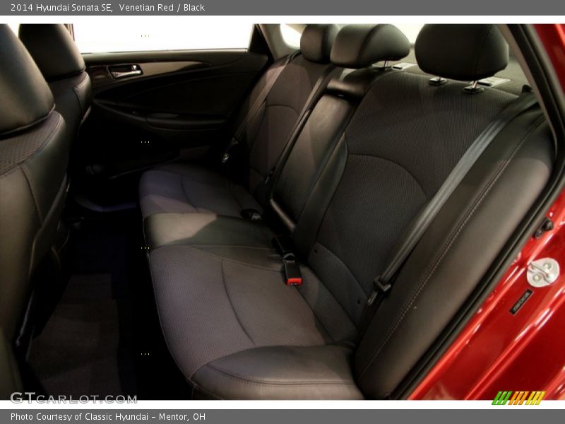 Venetian Red / Black 2014 Hyundai Sonata SE