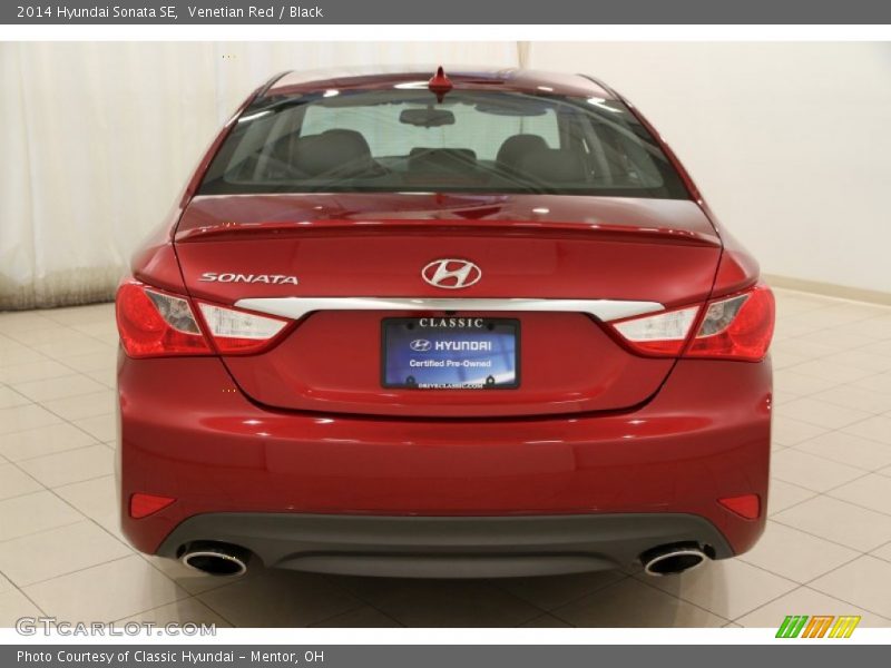 Venetian Red / Black 2014 Hyundai Sonata SE