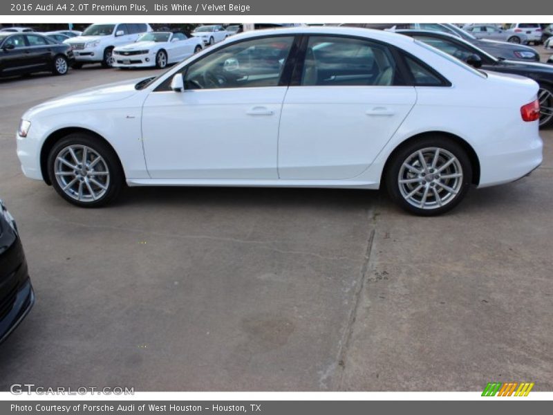 Ibis White / Velvet Beige 2016 Audi A4 2.0T Premium Plus