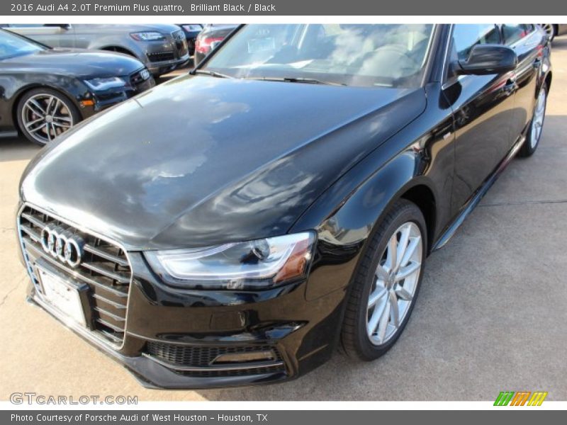 Brilliant Black / Black 2016 Audi A4 2.0T Premium Plus quattro