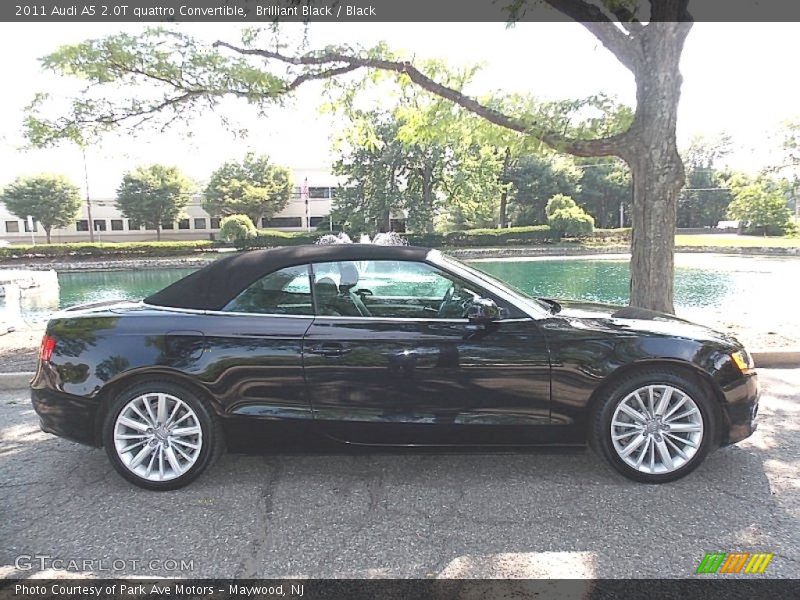 Brilliant Black / Black 2011 Audi A5 2.0T quattro Convertible