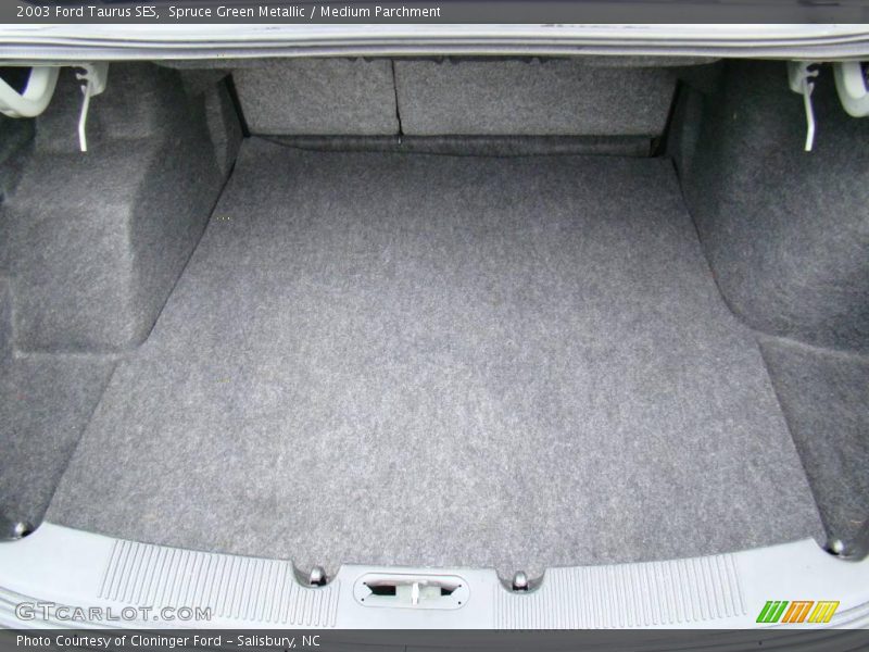 Spruce Green Metallic / Medium Parchment 2003 Ford Taurus SES