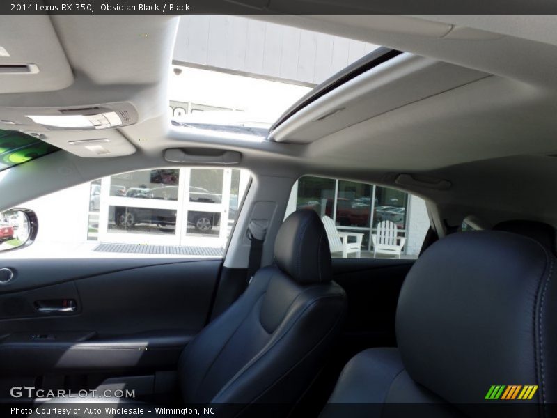 Obsidian Black / Black 2014 Lexus RX 350