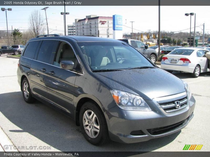 Sage Brush Pearl / Gray 2005 Honda Odyssey EX