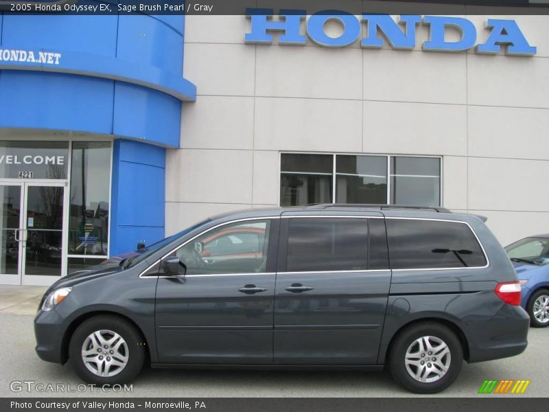 Sage Brush Pearl / Gray 2005 Honda Odyssey EX