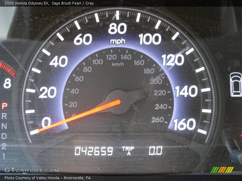 Sage Brush Pearl / Gray 2005 Honda Odyssey EX