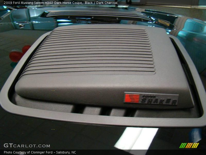 Black / Dark Charcoal 2009 Ford Mustang Saleen H302 Dark Horse Coupe