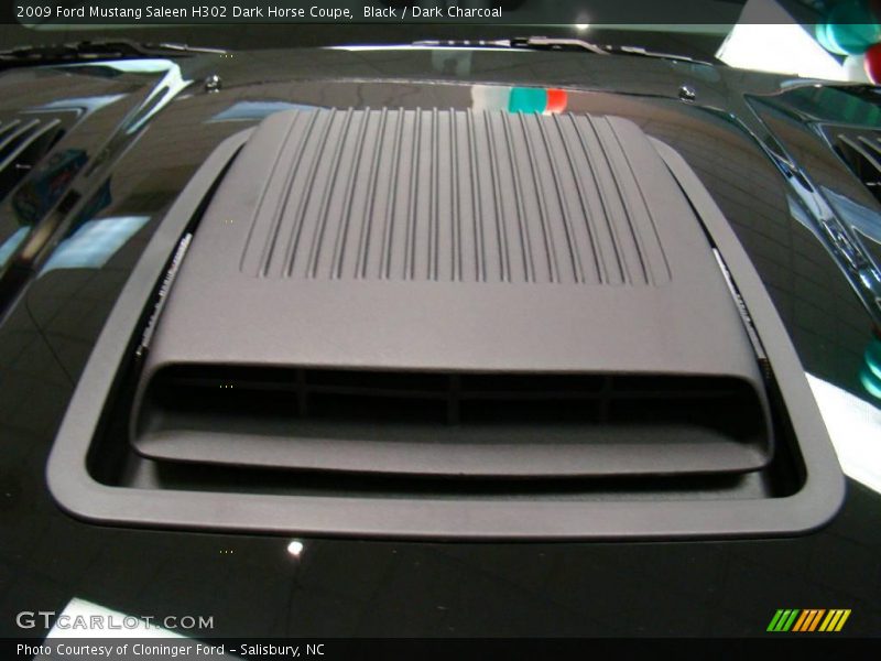 Black / Dark Charcoal 2009 Ford Mustang Saleen H302 Dark Horse Coupe