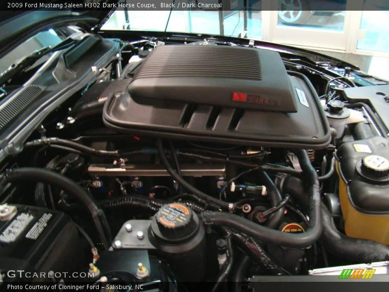 Black / Dark Charcoal 2009 Ford Mustang Saleen H302 Dark Horse Coupe