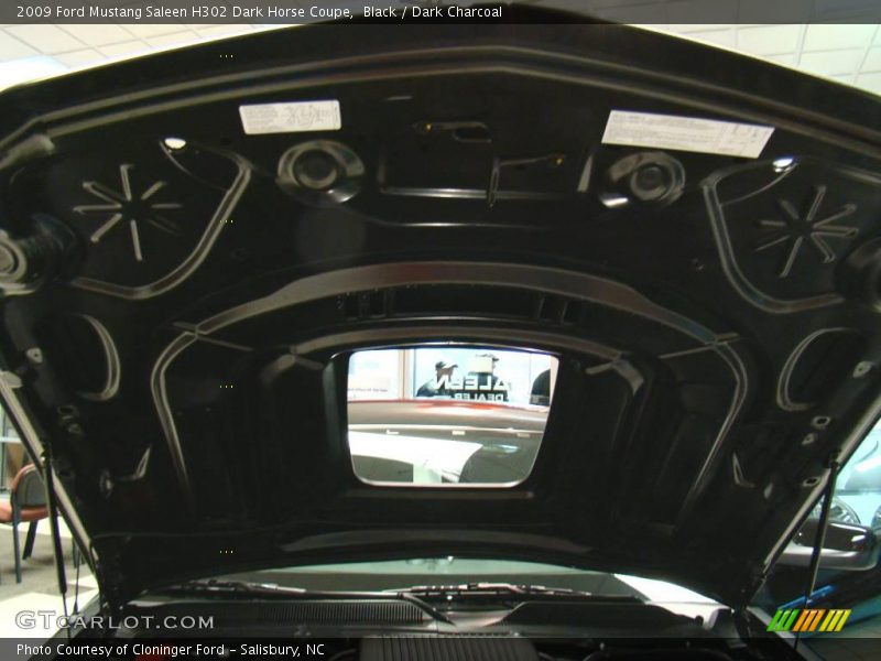 Black / Dark Charcoal 2009 Ford Mustang Saleen H302 Dark Horse Coupe
