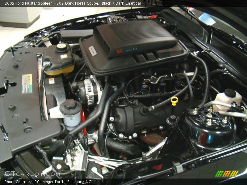 Black / Dark Charcoal 2009 Ford Mustang Saleen H302 Dark Horse Coupe
