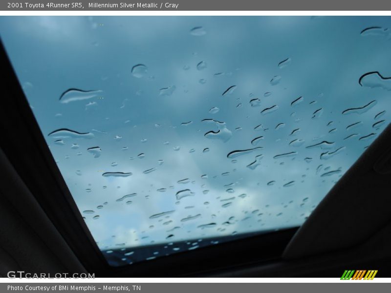 Millennium Silver Metallic / Gray 2001 Toyota 4Runner SR5