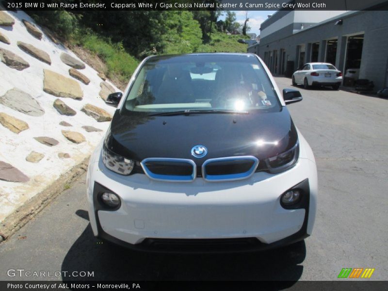 Capparis White / Giga Cassia Natural Leather & Carum Spice Grey Wool Cloth 2015 BMW i3 with Range Extender