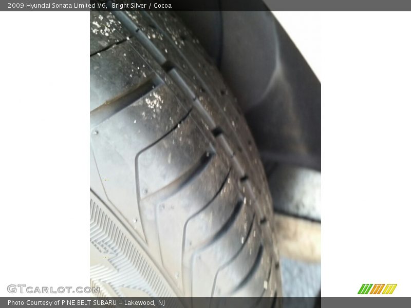 Bright Silver / Cocoa 2009 Hyundai Sonata Limited V6