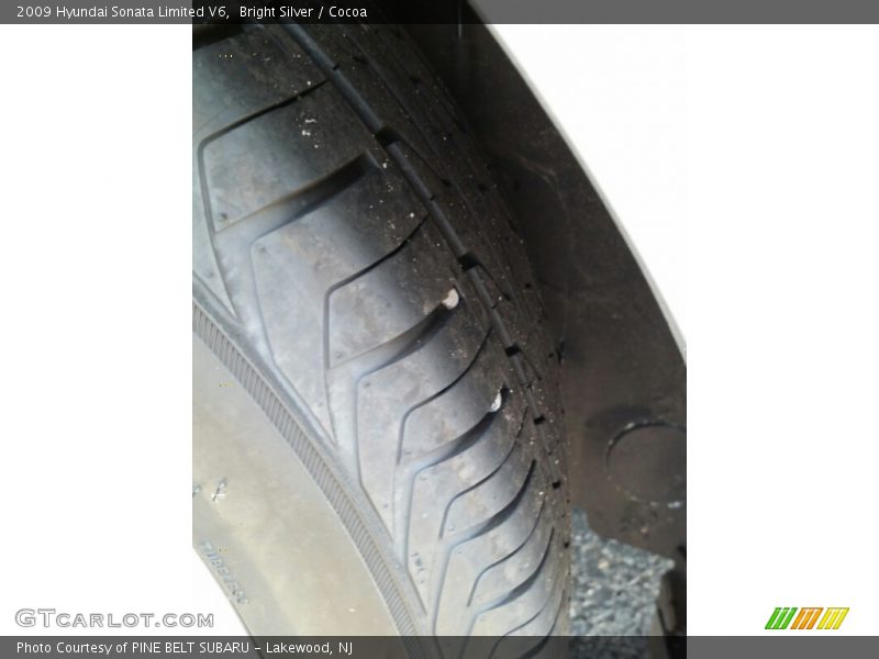 Bright Silver / Cocoa 2009 Hyundai Sonata Limited V6
