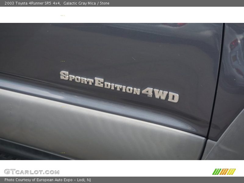 Galactic Gray Mica / Stone 2003 Toyota 4Runner SR5 4x4