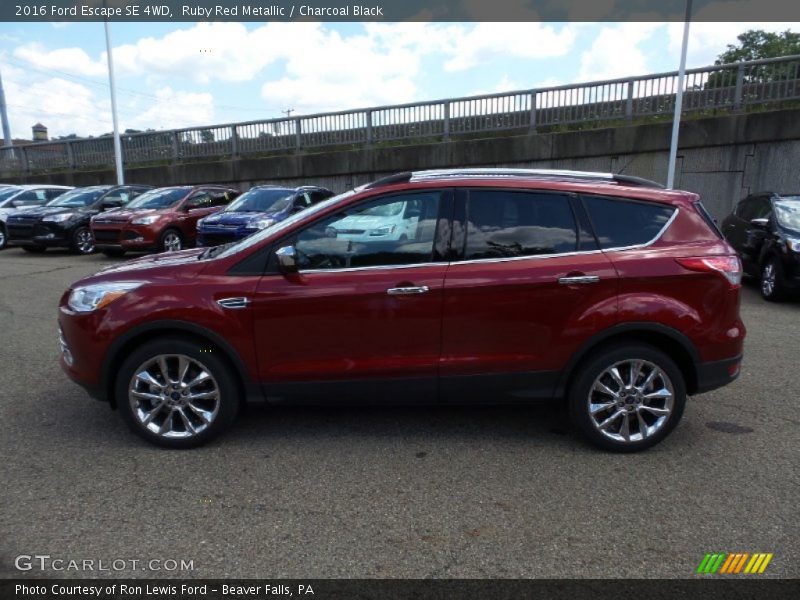 Ruby Red Metallic / Charcoal Black 2016 Ford Escape SE 4WD