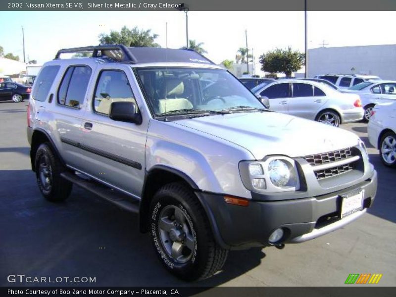 Silver Ice Metallic / Gray Celadon 2002 Nissan Xterra SE V6