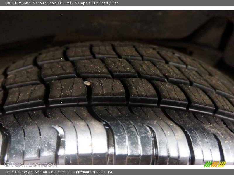 Memphis Blue Pearl / Tan 2002 Mitsubishi Montero Sport XLS 4x4
