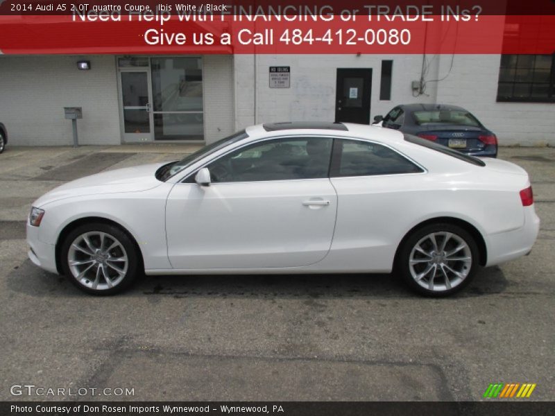 Ibis White / Black 2014 Audi A5 2.0T quattro Coupe