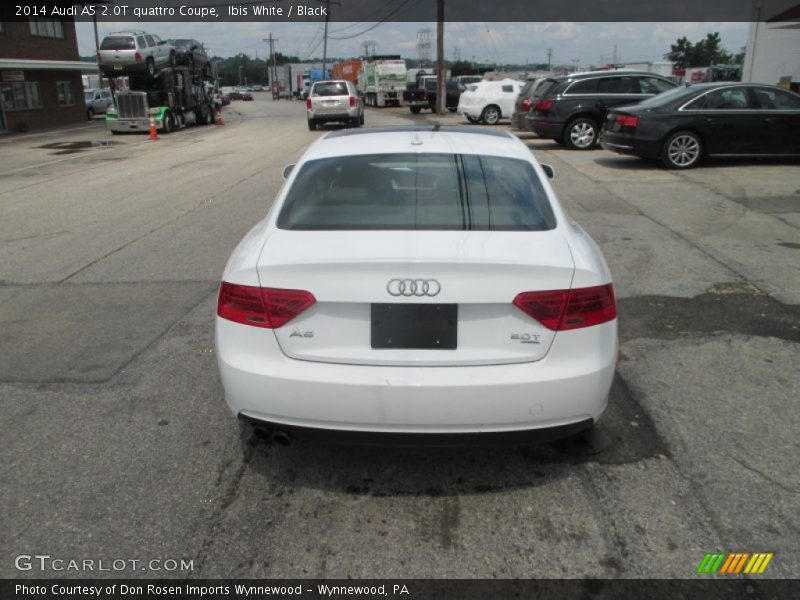 Ibis White / Black 2014 Audi A5 2.0T quattro Coupe