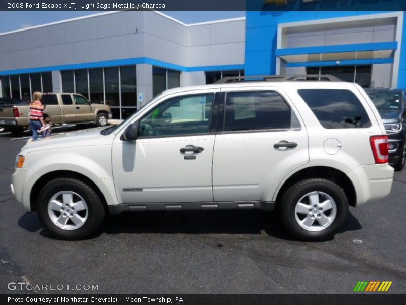 Light Sage Metallic / Charcoal 2008 Ford Escape XLT