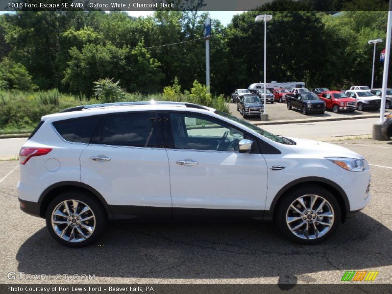 Oxford White / Charcoal Black 2016 Ford Escape SE 4WD