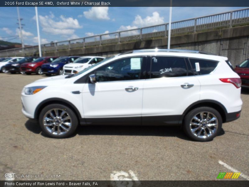 Oxford White / Charcoal Black 2016 Ford Escape SE 4WD