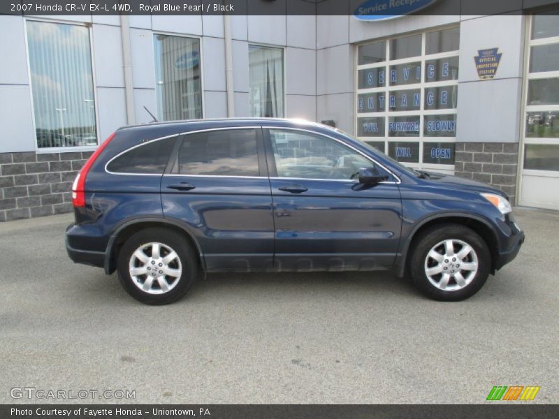 Royal Blue Pearl / Black 2007 Honda CR-V EX-L 4WD