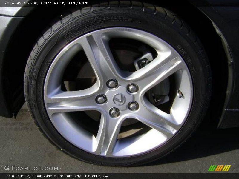 Graphite Gray Pearl / Black 2004 Lexus IS 300