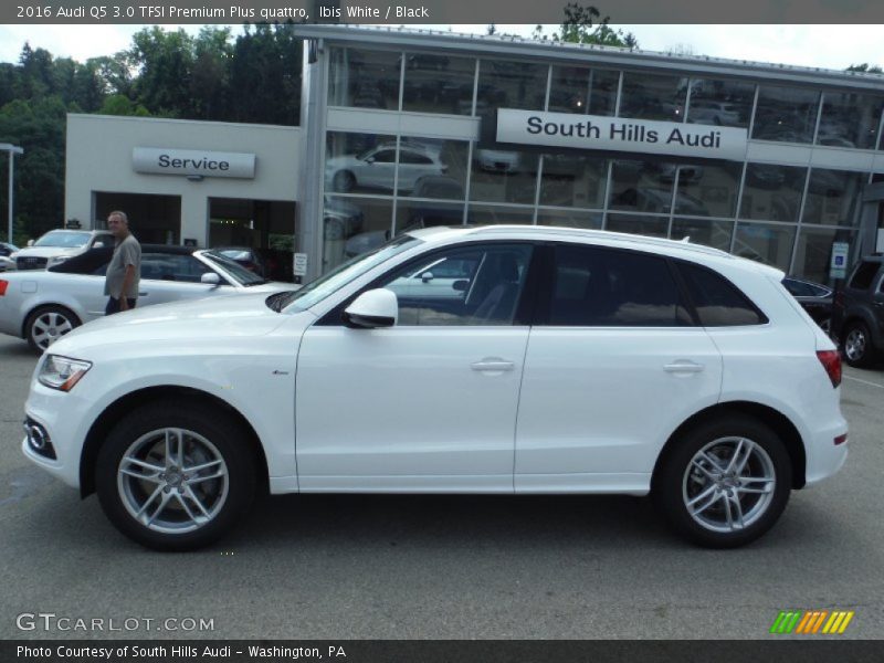 Ibis White / Black 2016 Audi Q5 3.0 TFSI Premium Plus quattro