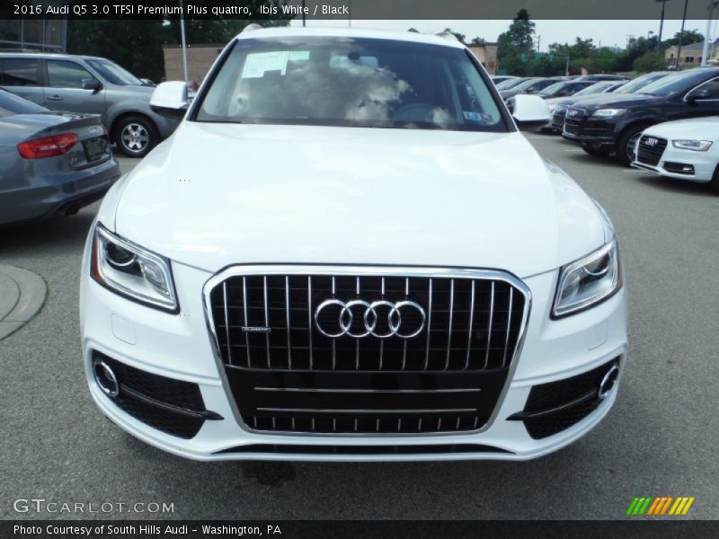 Ibis White / Black 2016 Audi Q5 3.0 TFSI Premium Plus quattro
