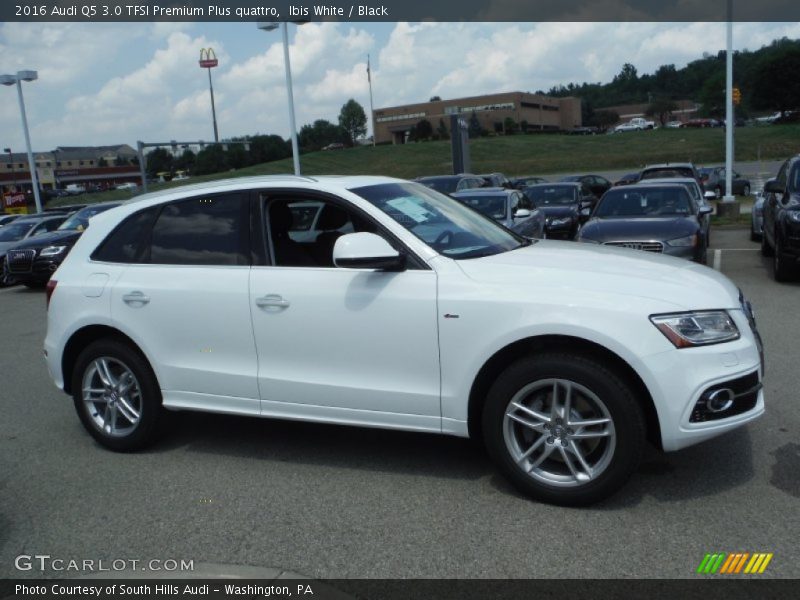  2016 Q5 3.0 TFSI Premium Plus quattro Ibis White