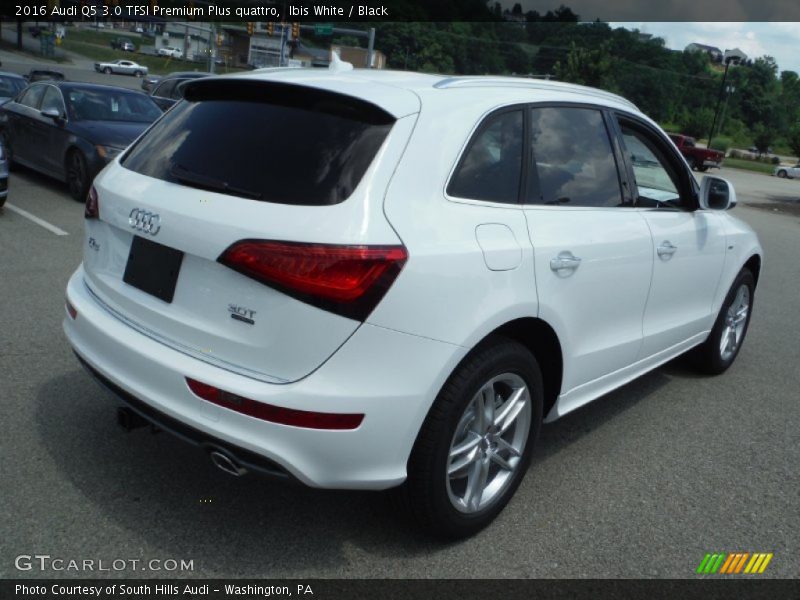Ibis White / Black 2016 Audi Q5 3.0 TFSI Premium Plus quattro