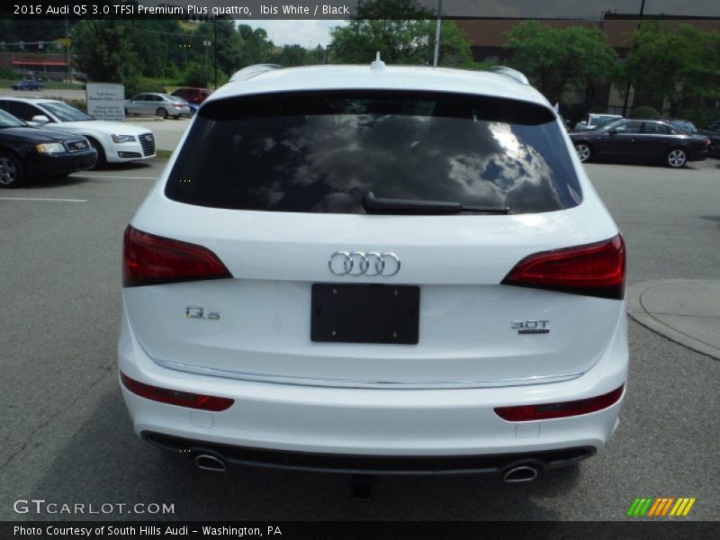 Ibis White / Black 2016 Audi Q5 3.0 TFSI Premium Plus quattro