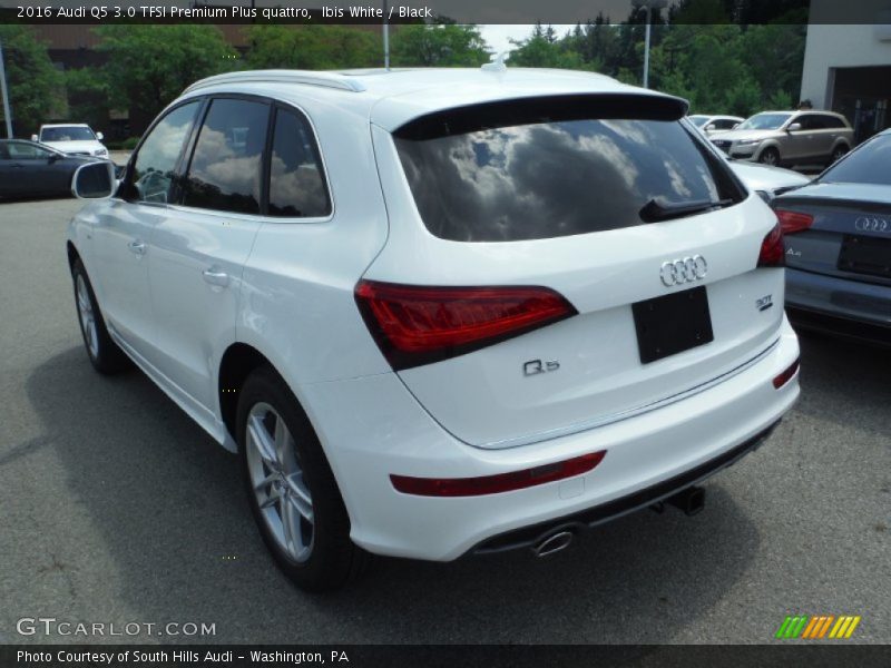 Ibis White / Black 2016 Audi Q5 3.0 TFSI Premium Plus quattro