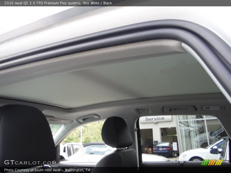 Ibis White / Black 2016 Audi Q5 3.0 TFSI Premium Plus quattro