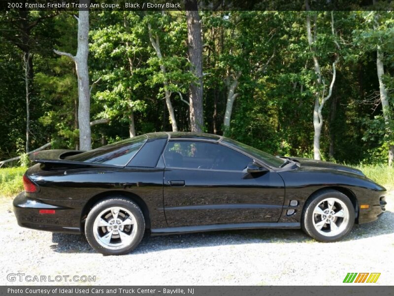 Black / Ebony Black 2002 Pontiac Firebird Trans Am Coupe