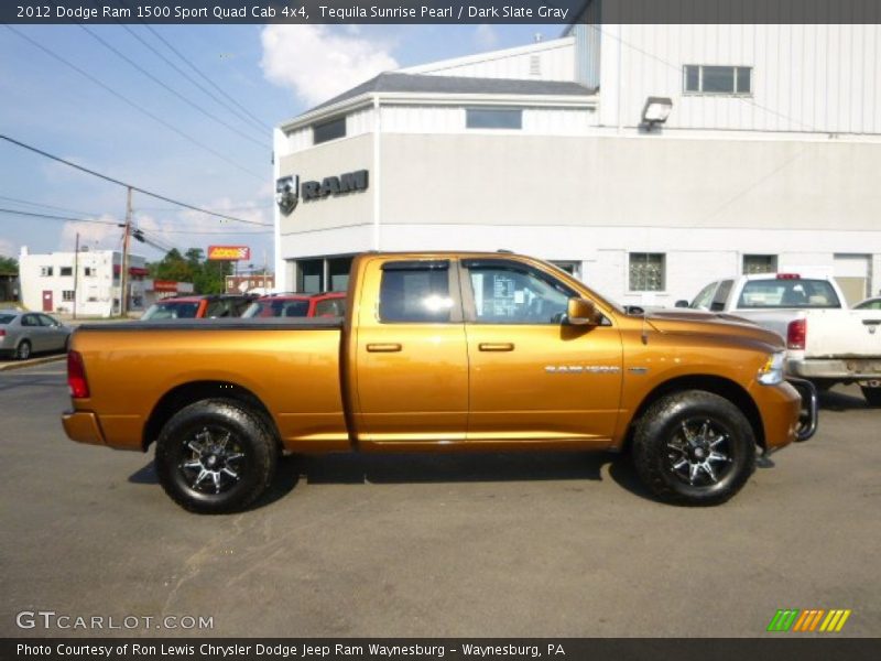 Tequila Sunrise Pearl / Dark Slate Gray 2012 Dodge Ram 1500 Sport Quad Cab 4x4