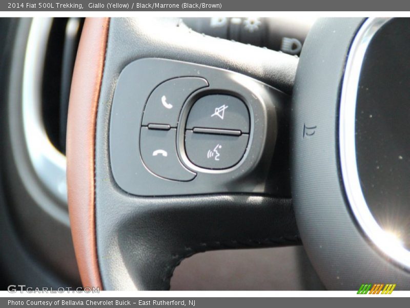 Controls of 2014 500L Trekking