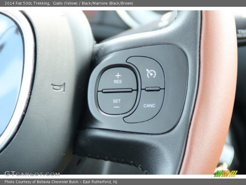 Controls of 2014 500L Trekking