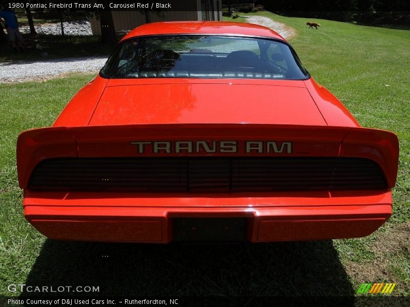 Carousel Red / Black 1980 Pontiac Firebird Trans Am