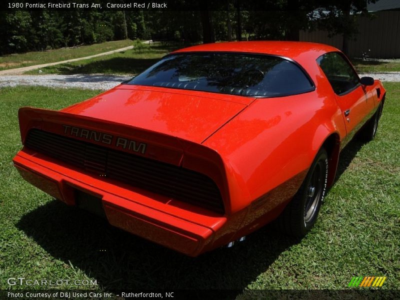 Carousel Red / Black 1980 Pontiac Firebird Trans Am