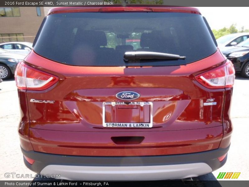 Sunset Metallic / Charcoal Black 2016 Ford Escape SE 4WD